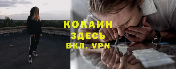 твердый Каменка