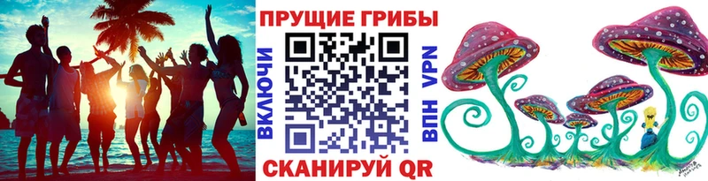 Псилоцибиновые грибы прущие грибы  Купить  Зеленодольск 